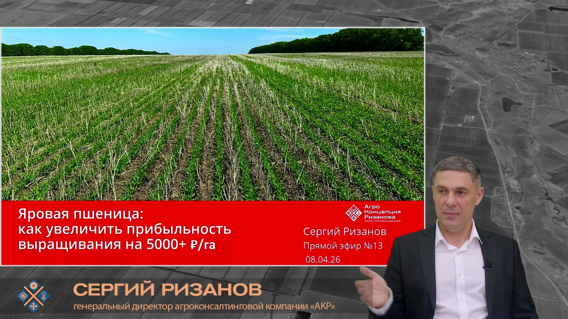 Яровая пшеница: как увеличить прибыль и урожайность на 5000 ₽/га | Агроном | Сергий Ризанов