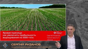 Яровая пшеница: как увеличить прибыль и урожайность на 5000 ₽/га | Агроном | Сергий Ризанов