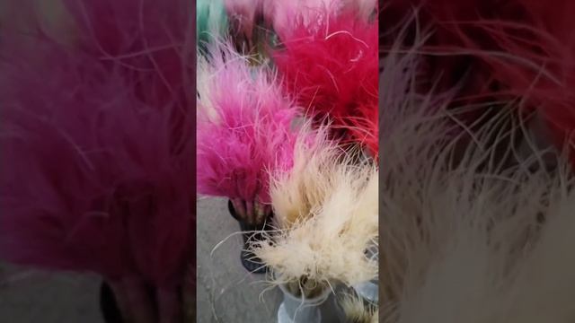 Ярмарка цветов Краснодар 07.04.26 цены и обзор ассортимента