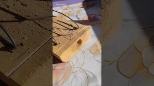 Уловистая мышеловка