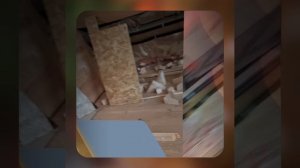 1000055533.mp4 (Собака наблюдает за устройством лестницы на 2-ой этаж в доме А-фрейм)