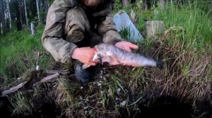 КРУПНЫЕ ОКУНИ.РЫБАЛКА С НОЧЁВКОЙ