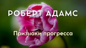Прогресс — иллюзия искателя. Роберт Адамс