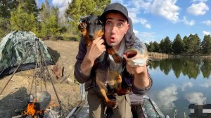 24 часа на рыбалке! Уха из толстолоба, ловля линя и раков на верши и сеть, Берёзовый Сок.