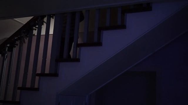 мой любимый блогер непета