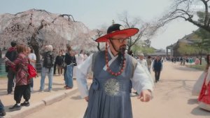 Тур Мастеров Шаронской розы в 2025 году в Южную Корею