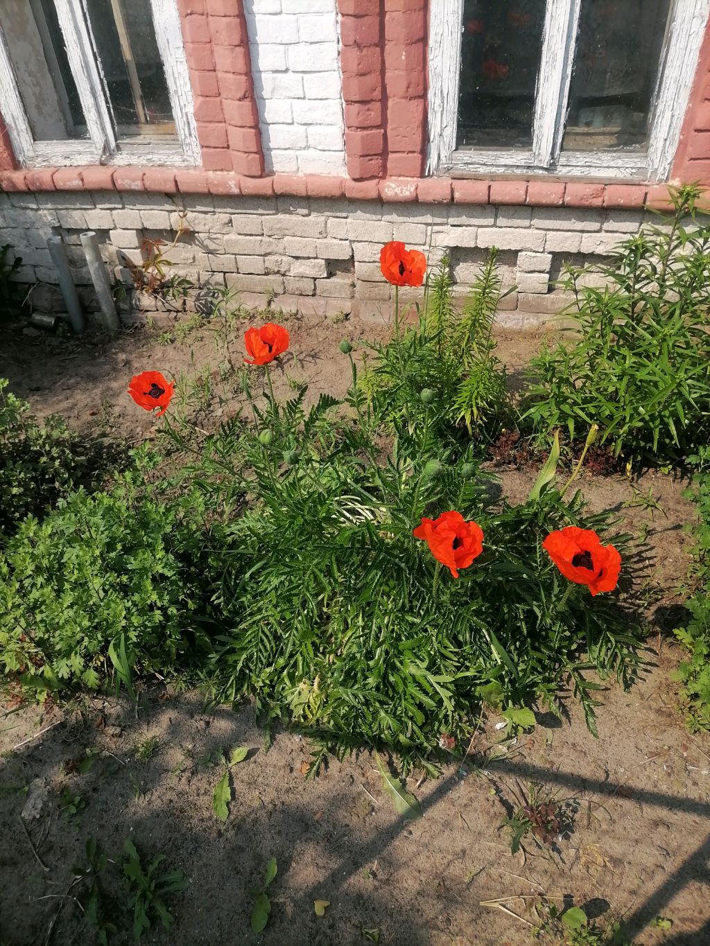 Чистый четверг. П. Юрино, Республика Марий Эл.