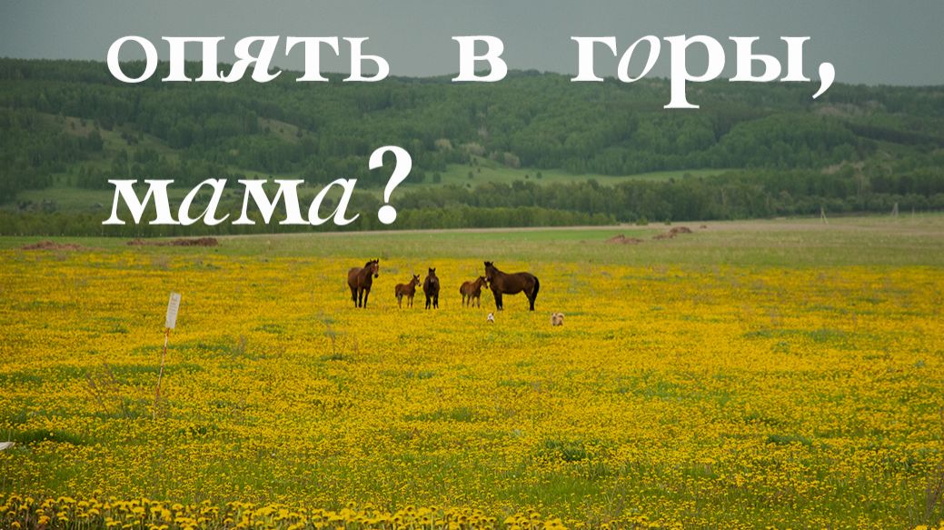 ЕДЕМ ПО УРАЛУ, ЖИВЕМ В МАШИНЕ. Восхождение на гору Малиновая-3