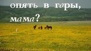 ЕДУ ПО УРАЛУ. Восхождение на гору Малиновая-3