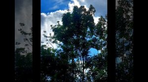 вспомним  об июле