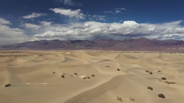 Предчувстве чуда