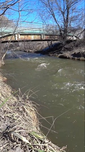 Речка СХОДНЯ рядом с МКАД.