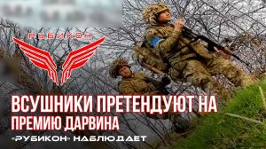 Донбасс. Оператор FPV-дрона Центра «Рубикон» стал невольным очевидцем деградации солдат ВСУ.