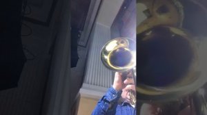 Мой забавный Валентин - Флюгельгорн соло