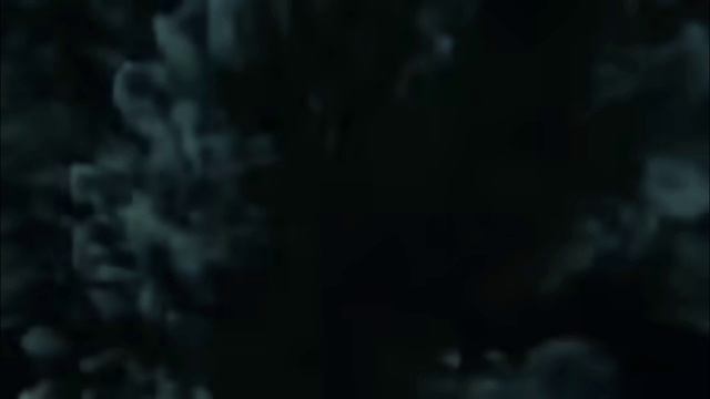 зомби мультиверс