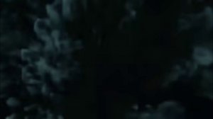 зомби мультиверс