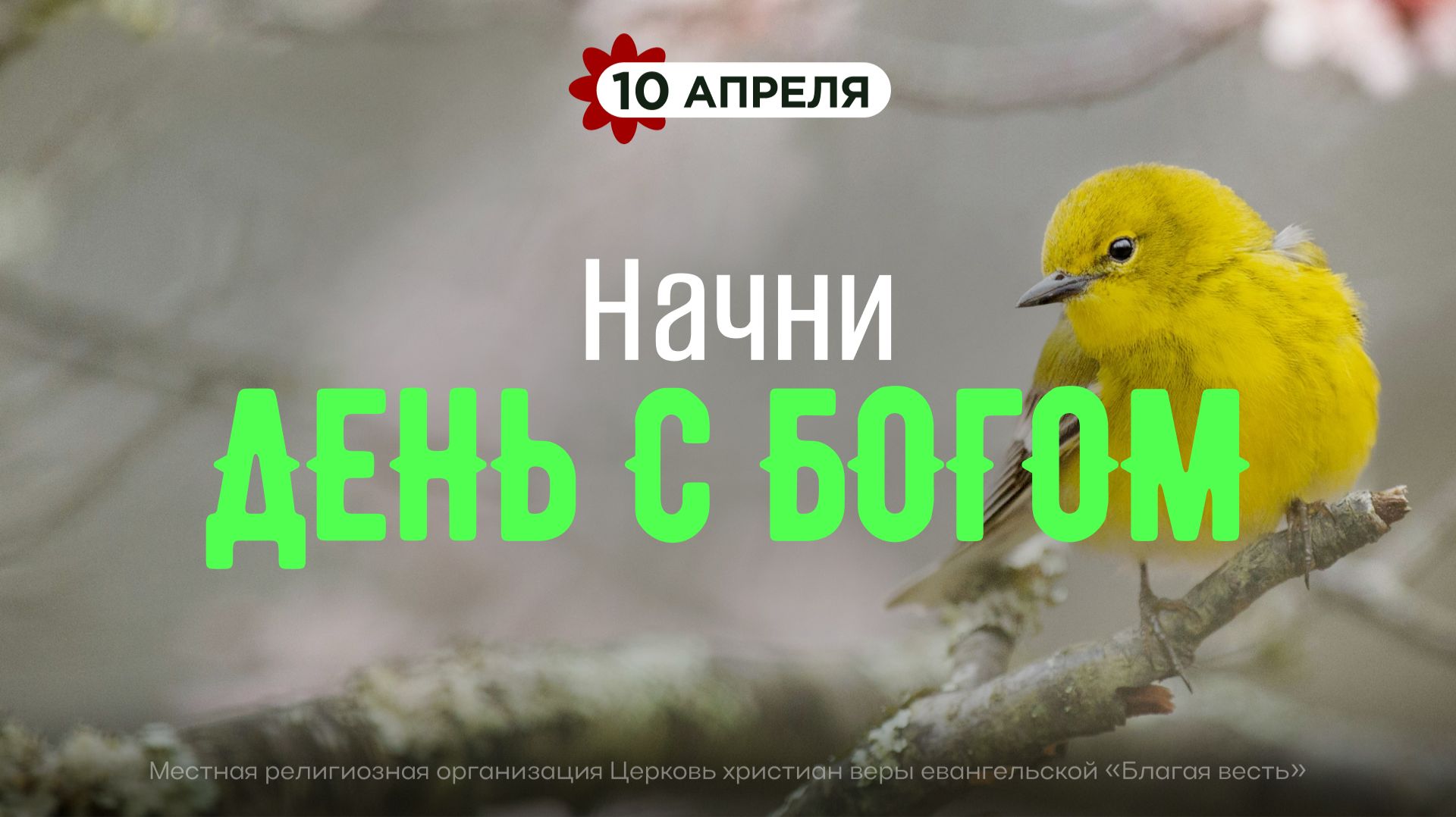 Начни день с Богом (10.04.2026) - Церковь «Благая весть онлайн»