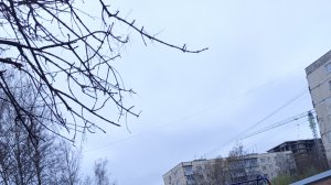 выживание в дождь