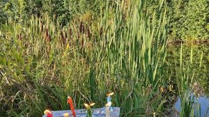 Мясорубка для врага по справедливости.