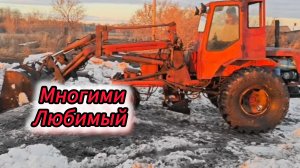 трактор т16 с саг