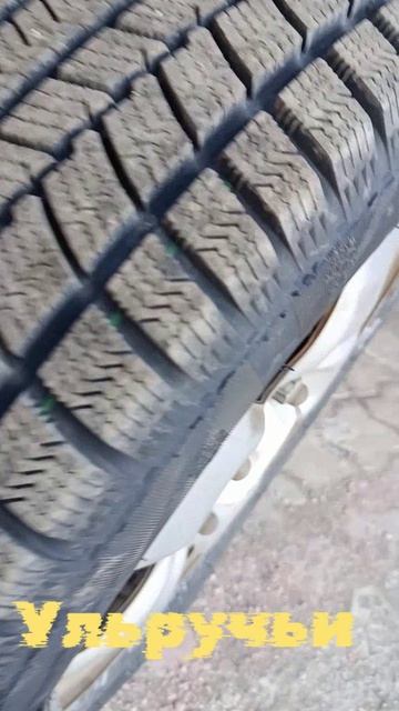 Таежная, Ульручьи.