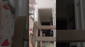 Я играю в мафию с своими игрушками