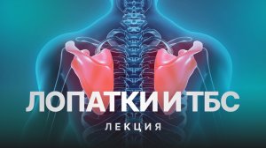 Лекция: Лопатки и ТБС в 3D