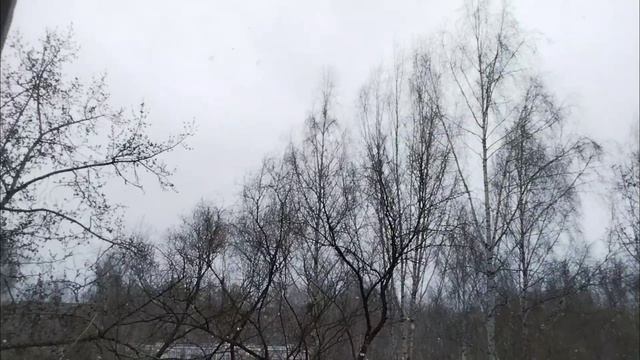А-а-апрельская зима😄😉❄️❄️❄️