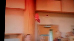 Резиномоторная утка - махолёт - биплан