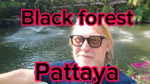 Black forest Pattaya ! Очень красивое место! 08-04-2026
