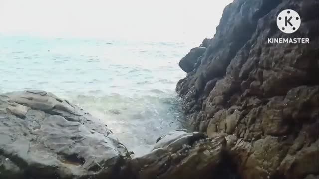 *** ВОЛШЕБНОЙ КРАСОТЫ ПЕСНИ НА ФОНЕ ШУМА ВОЛН *** РЕЛАКС НА НОЧЬ ***