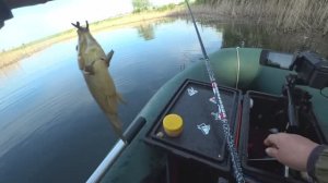 Мормышка с копченым салом, собрала карасей Рыбалка на поплавок удалась