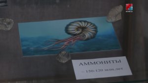 Козьмодемьянск оласе А. Григорьев лӱмеш  тоштерыште «Море эпохи динозавров» лӱман ончер пашам ышта