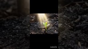 ошибка Гаряева