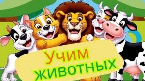 Учим животных