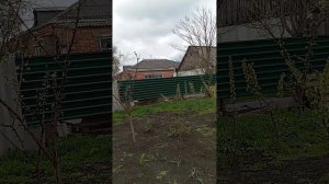 1000103858.mp4с Чистым Четвергом