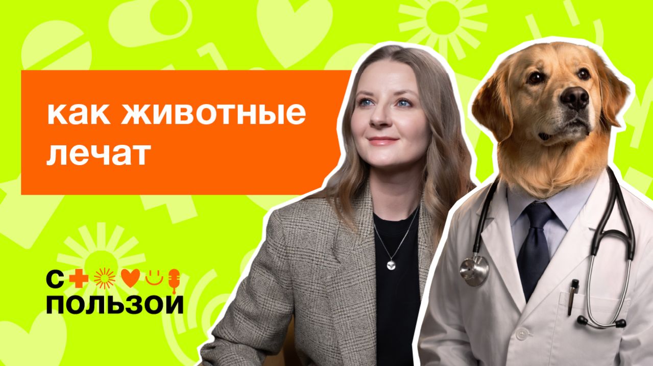 Анималотерапия: как животные помогают лечить людей 🐾