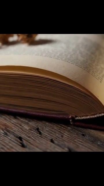 #официальнаястраницадлявас #информация #подписка #онлайн #сообщество #акции