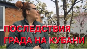 1164 Последствия града. У соседей разрешения не спросили.Мы Разрушители.