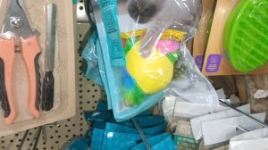 Очень много новинок для животных в фикс-прайсе! Столько у них никогда не видела👍