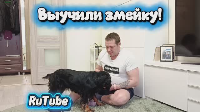Выучили змейку