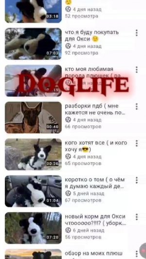 Липова дура перенесла моё видео на свой канал ( своё видео я сняла 1 неделю назад а она сегодня) 😔