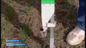 На Ставрополье начался усиленный мониторинг популяции грызунов