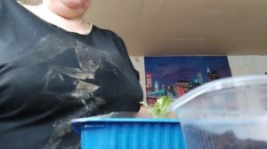 Рассаживаю, пикирую баклажаны