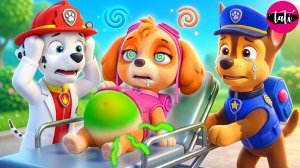 Щенячий патруль и Маршалл. Залипательное видео. Мультфильм для детей и малышей. Анимация 386