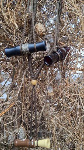 Весенняя охота на гуся