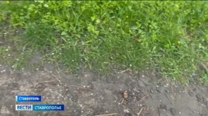 Непогода не отпускает Ставрополье