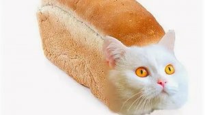 💣💥💣💥💣💥💣💥💣💥💣💥💣💥💣💥💣💥💣💥💣💥💣💥💣💥💣💥💣💥💣💥💣💥💣💥💣💥💣💥💣💥💣💥💣💥💣💥.mp4