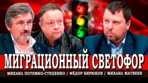Шок для депутата, или Какие законы о миграции считают лишними | Матвеев | Потемко-Стеценко | Бирюков