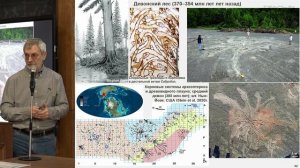 Журавлев А.Ю. - Основы палеонтологии - 7. Формирование наземных сообществ